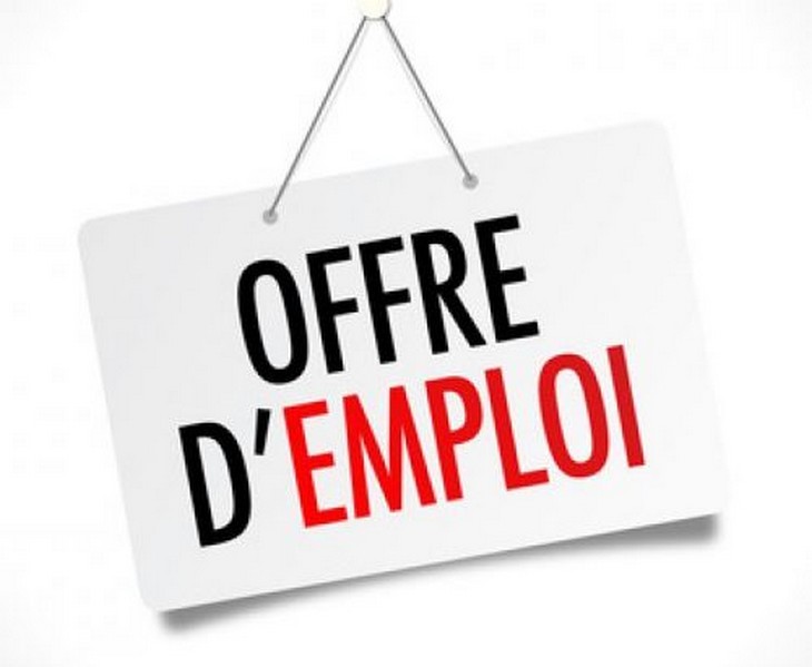 Offre d'emploi : Le Centre de Documentation et de Formation sur les Droits de l’Homme et Alternative Leadership Group Recrutent